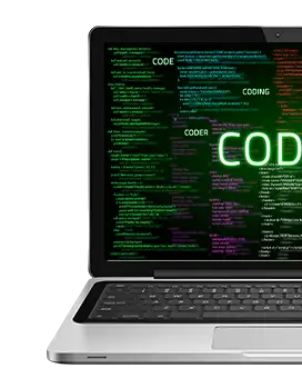 Custom Website Development